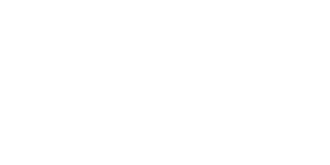 Alliance Partners Insurance Solutions - Logo 800 White